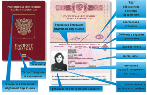 Как и где получают паспорта граждане РФ
