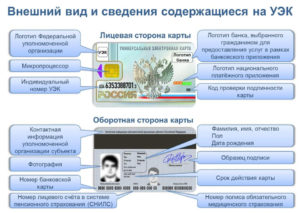 Как получить универсальную электронную карту Гражданина РФ